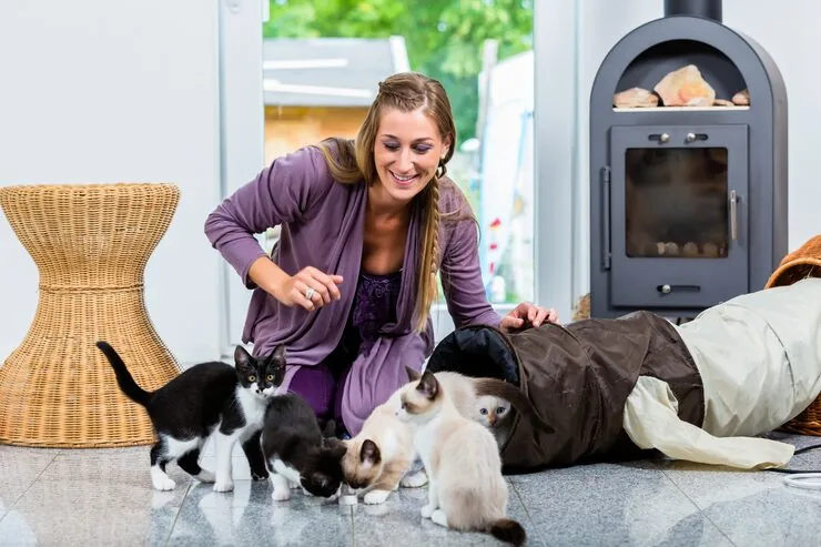 Airline Liaison and Cargo Handling Arrangements