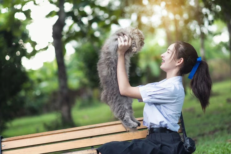 Airline Travel Arrangement and Booking Support