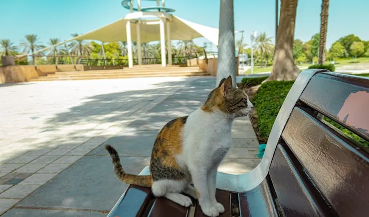 Airport Transfers With Controlled Holding Conditions