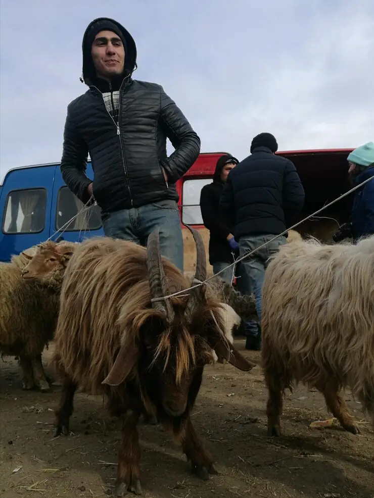 Alpaca Flight Crate Engineering And Preparation
