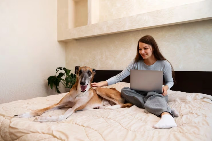 Arrival Coordination and Ground Transfer Planning