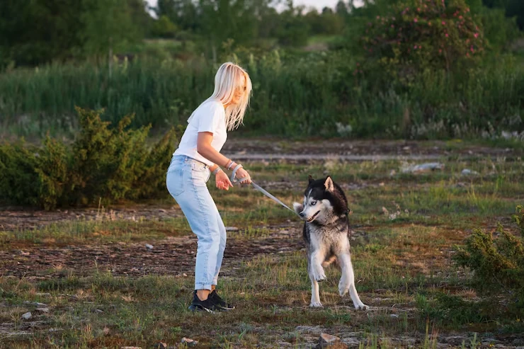 Arrival Support in Istanbul