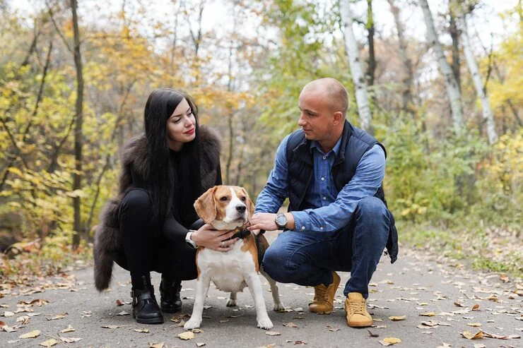 Australian Import Permit Assistance​