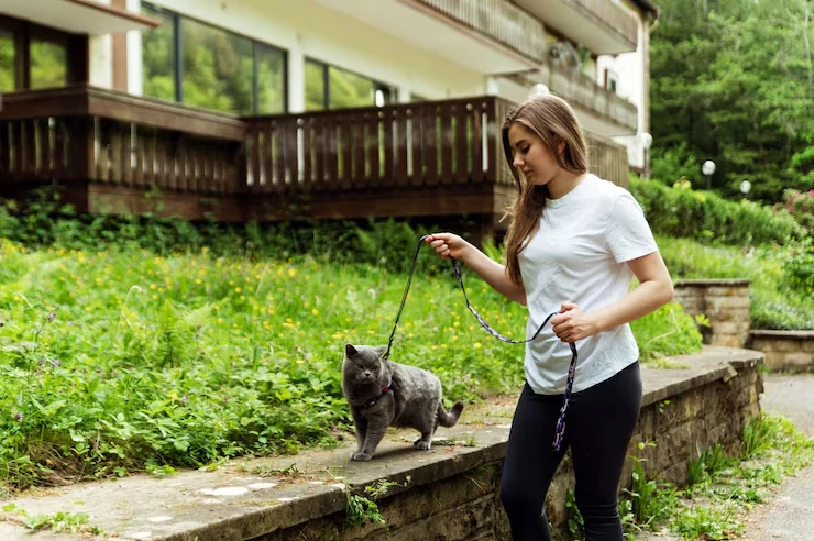 Beirut Import Coordination and Arrival Support