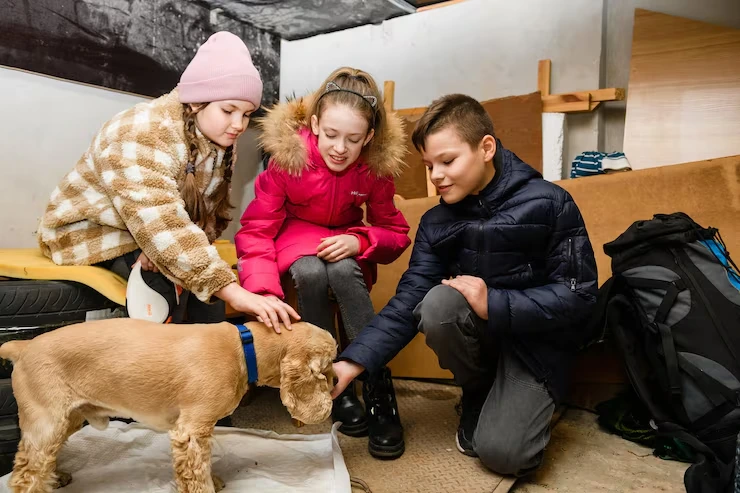 Celebrity Pet Courier Services in Liverpool