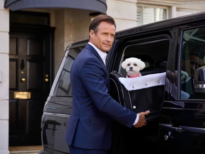 Celebrity Pet Transport Services in London