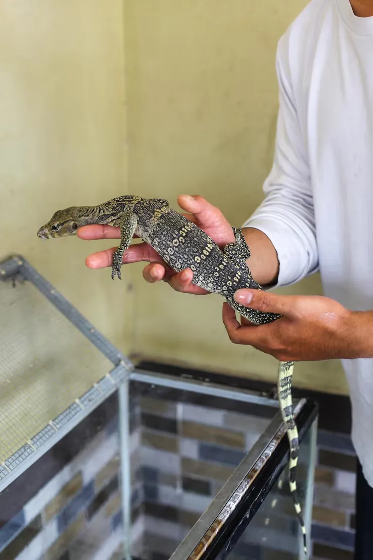 Climate-Controlled Transport Setup