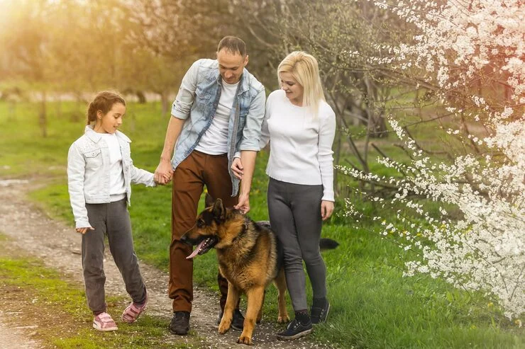 Complex Case Handling and Restricted Scenarios