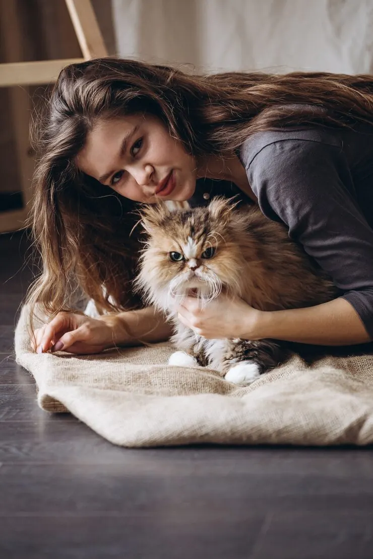 Corporate, Diplomatic, and Family Relocation Coordination