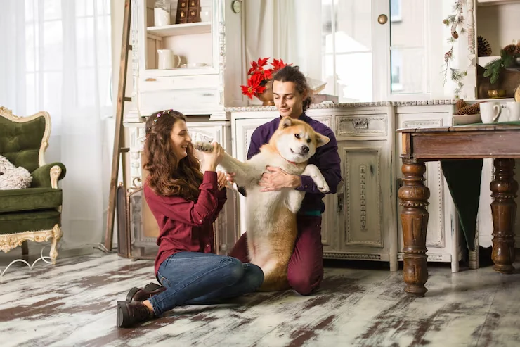 Corporate Pet Travel Planning for Employees and Executives