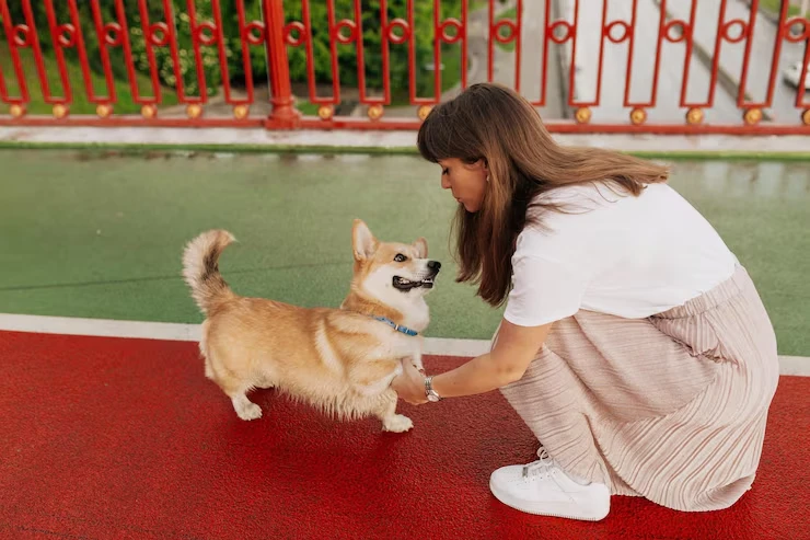 Corporate and Family Relocation Support