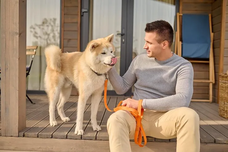 Crate Fitting and Travel Crate Preparation