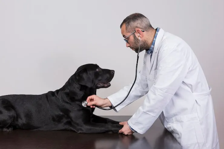 Crate Preparation And Fitting​