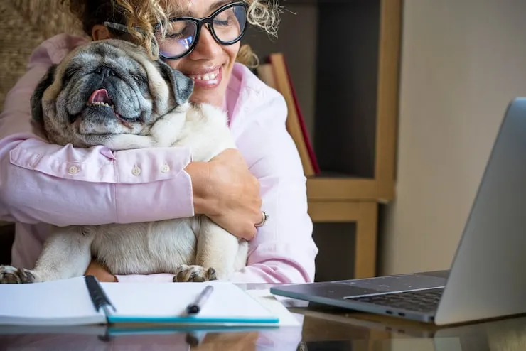 Crate Sizing, Crate Fitting, and IATA Regulations Support​