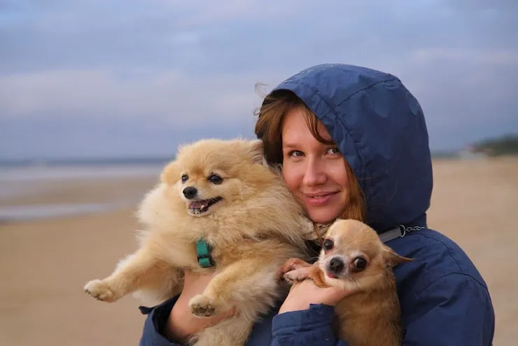 Crates, Carriers, and Seat Belts