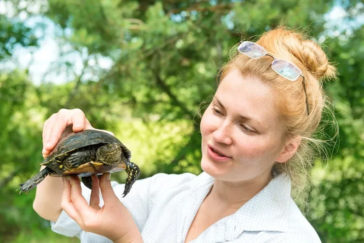 Custom Travel Crate Design & Welfare Preparation