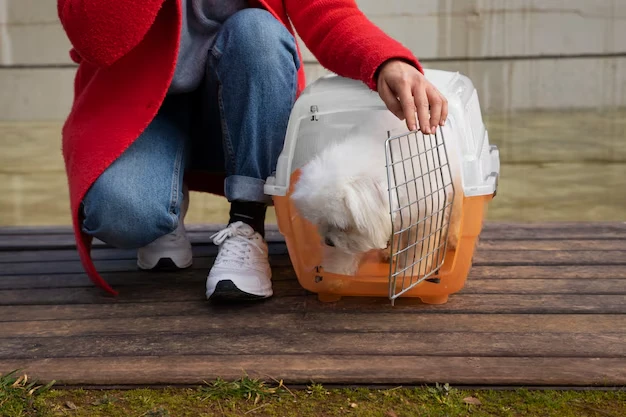 Custom Travel Crates