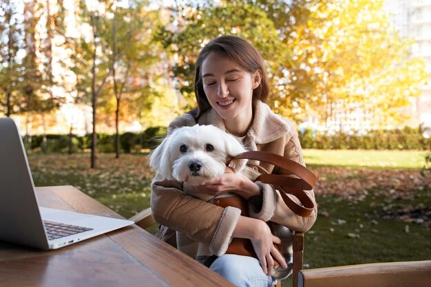 Customs Clearance and Airport Coordination in Dubaig