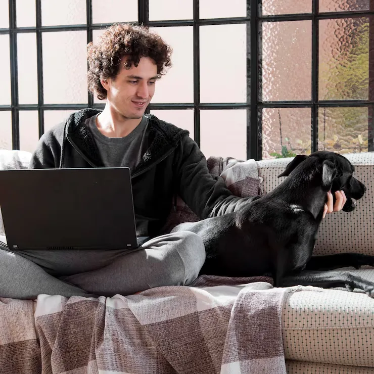 Customs and Quarantine Coordination