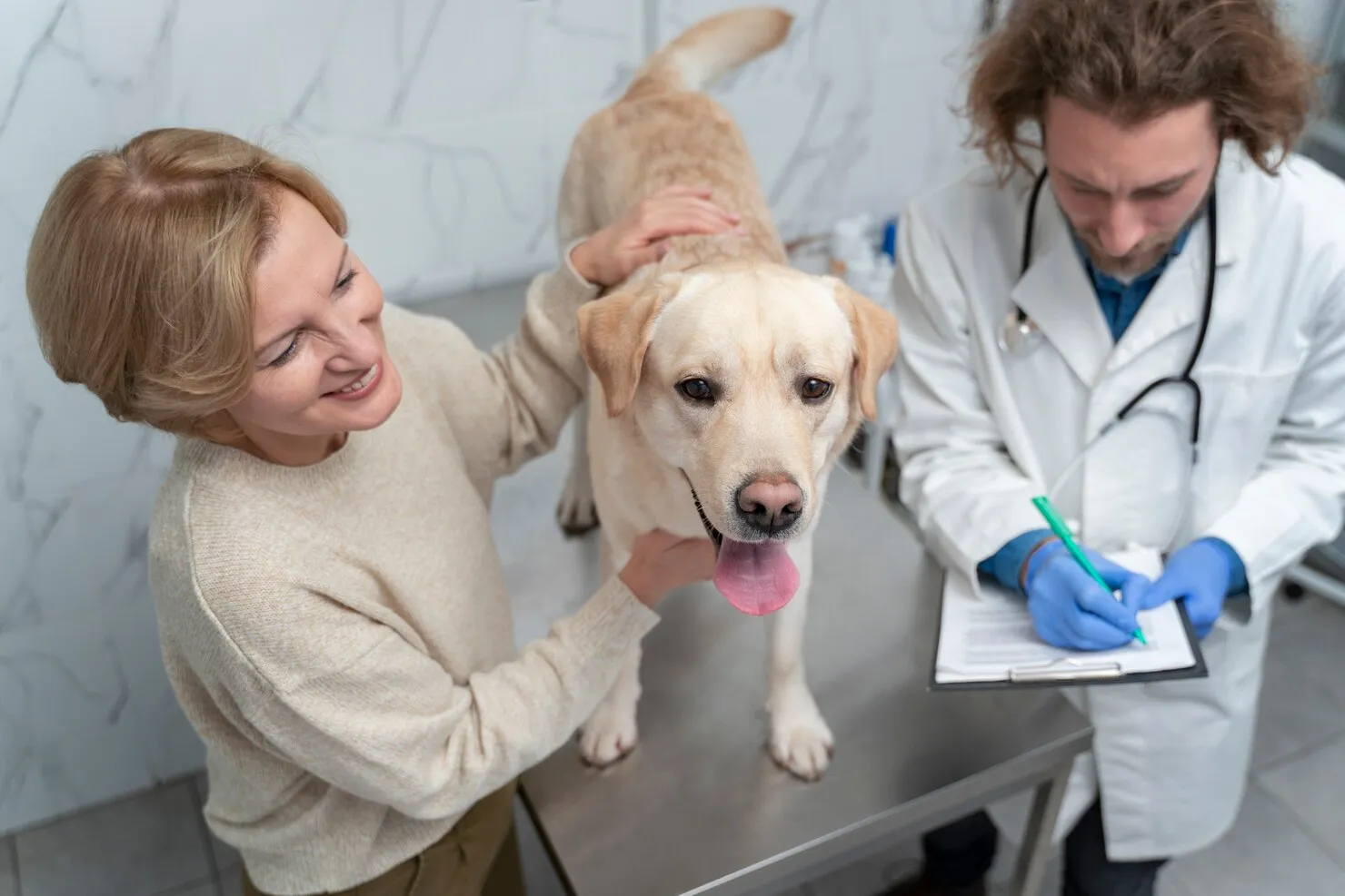 DEFRA-Approved Veterinary Documentation