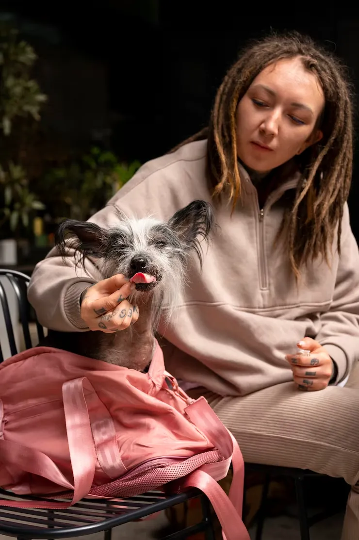 DEFRA Export Rules and UK Departure Preparation