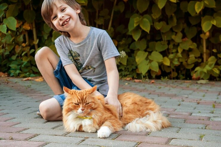 DEFRA and Export Documentation Management