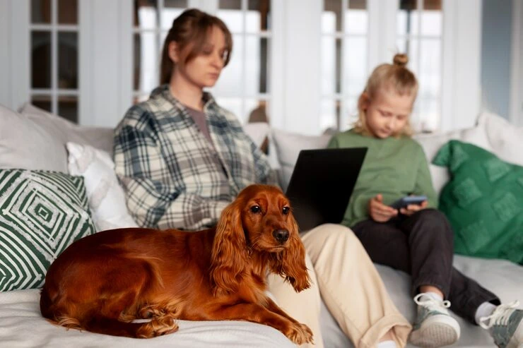 Destination Clearance and Customs Handling