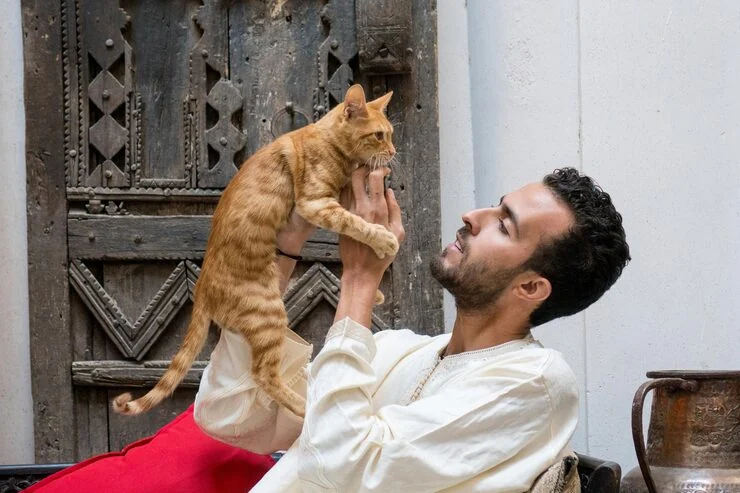 Destination Country Import Compliance