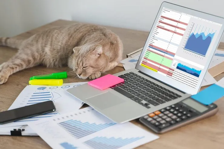 Documentation & Export Paperwork Coordination