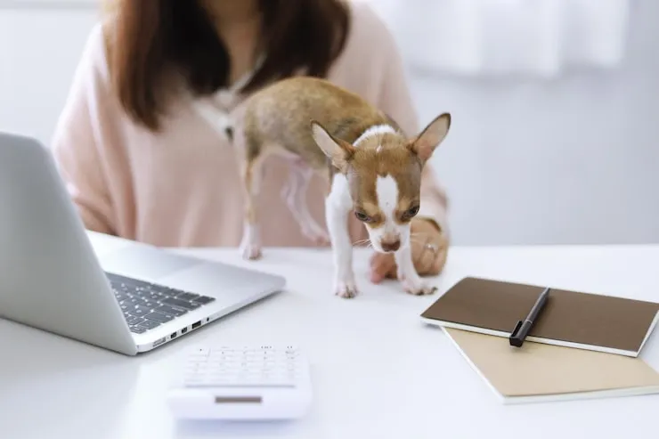 Documentation and Import Paperwork Processing