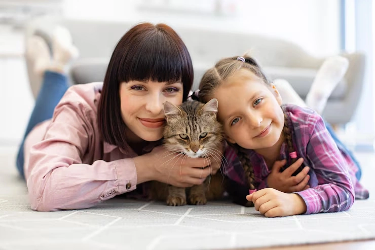 Domestic Pet Relocation Courier Dubai​