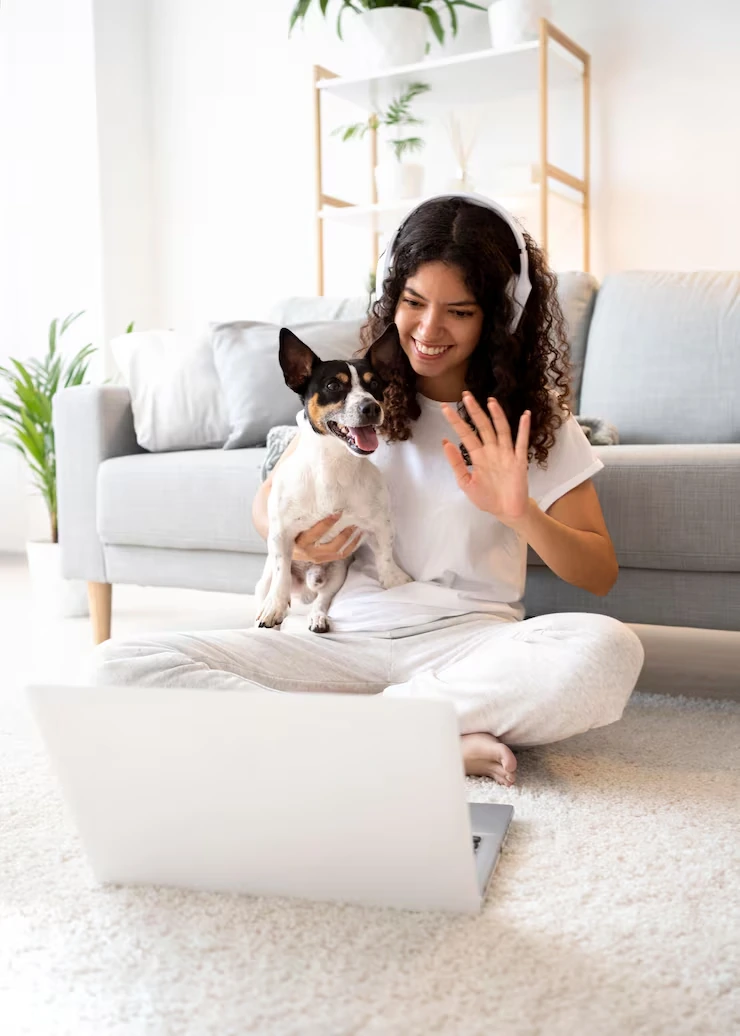 Eurotunnel and Ferry Coordination for Pet Transport UK to Brussels