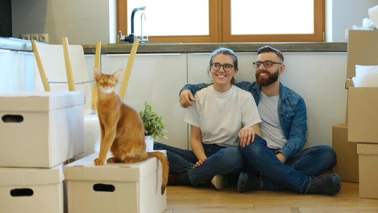 Executive Cat Relocation Services in Birmingham