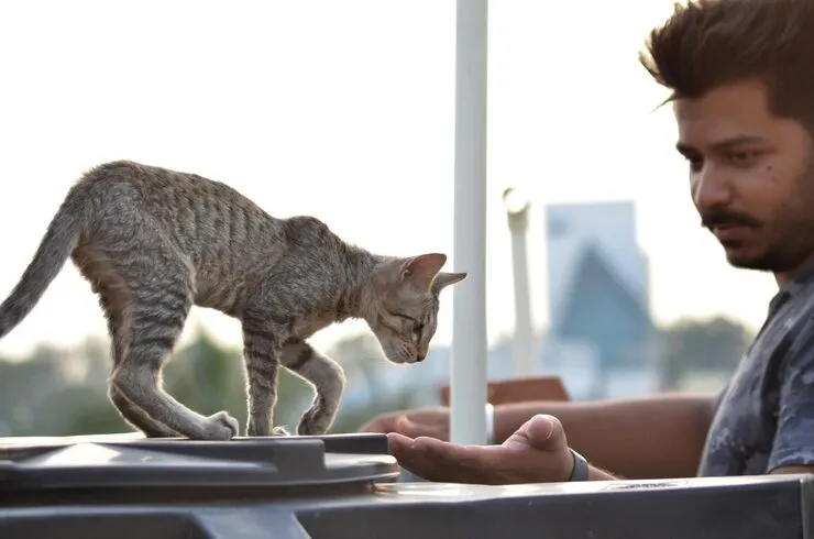 Executive Flight Routing and Carrier Coordination