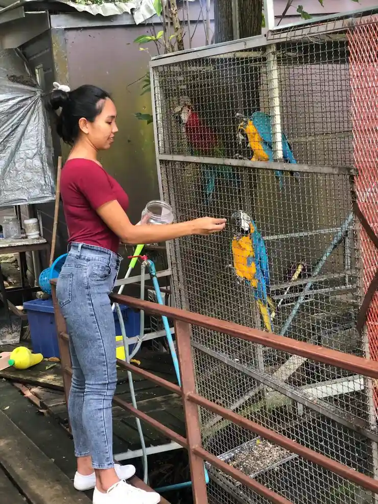 Exotic Bird Transport Services From the UK to Dubai