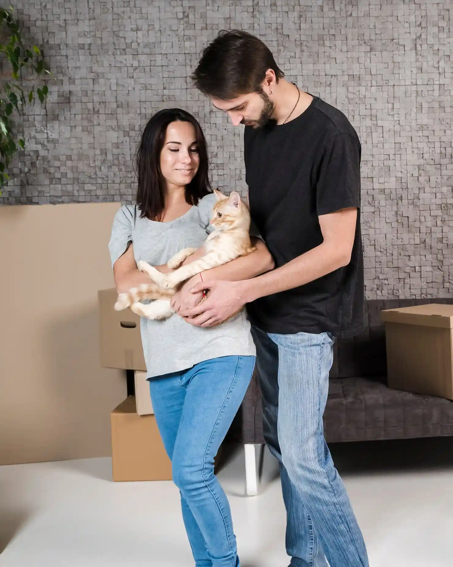 Expat Cat Relocation UK Services for Stress-Free Moves