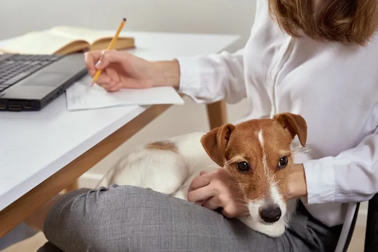 Export Documentation Management