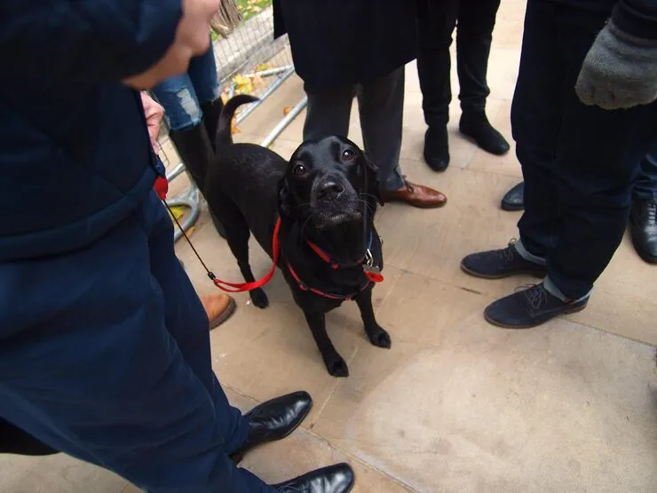 Flight Routing & Logistics Planning