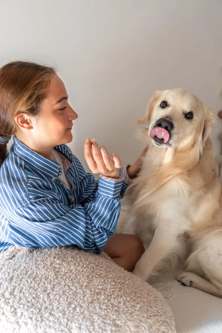 French Border Entry and Post-Arrival Support