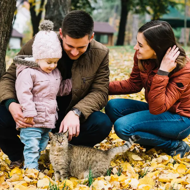 Global Mobility Pet Relocation Services in the UK