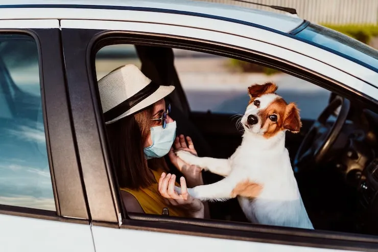 Ground Transport Coordination in the UK