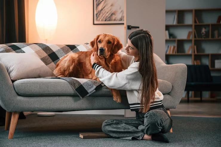 Home Delivery and Local Transport in the UK