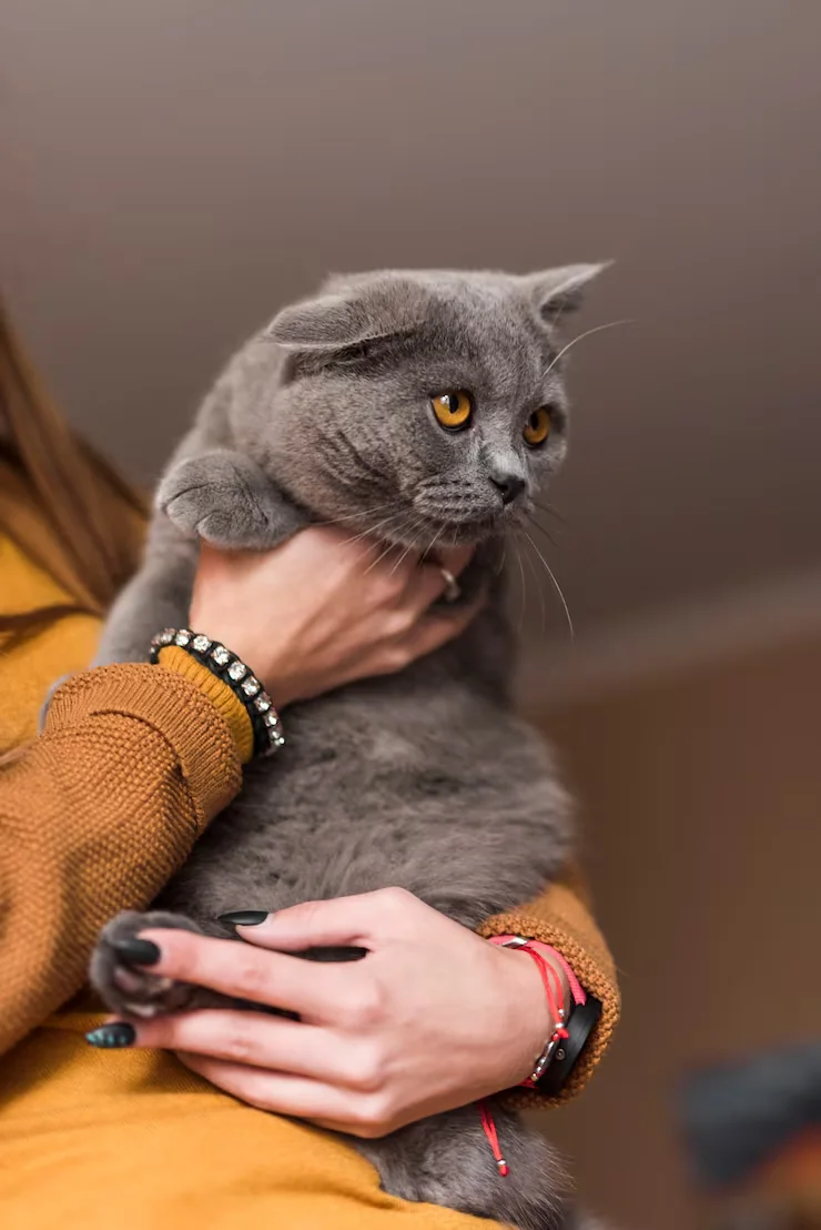 Home-to-Airport Courier Transport UK-Wide