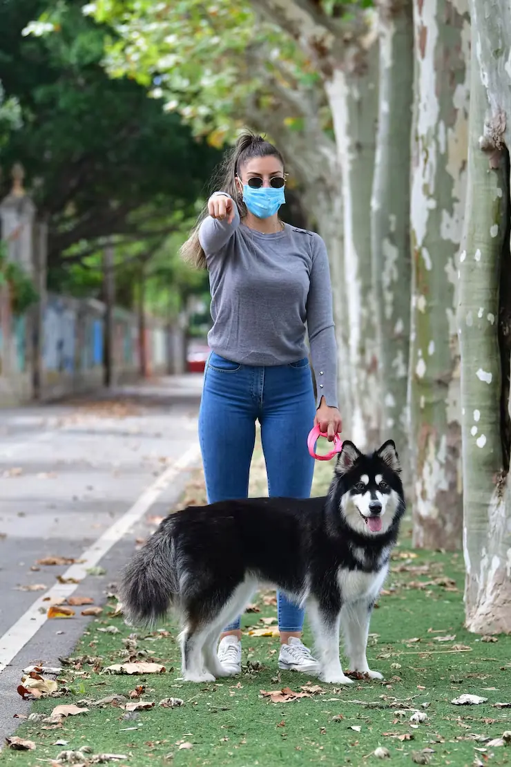 IATA-Compliant Crate Planning and Fit Assessments