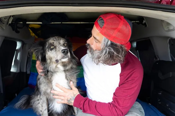 IATA-Compliant Crate Sourcing & Crate Conditioning Support