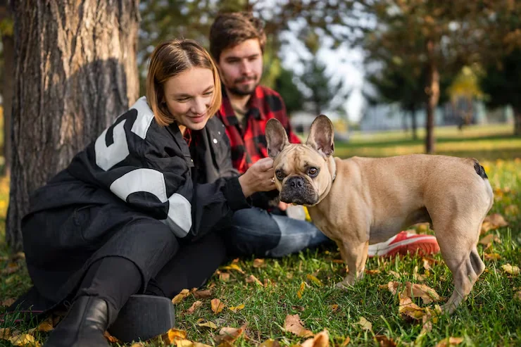 IATA-Compliant Travel Crate Support