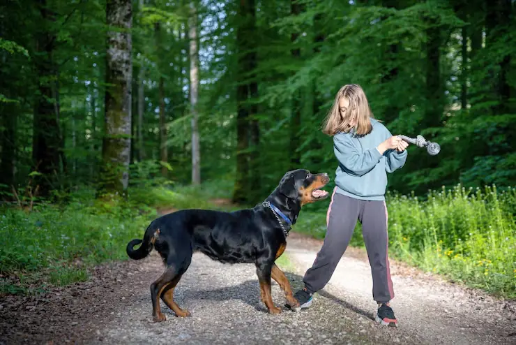 IATA Crate Guidance and Preparation