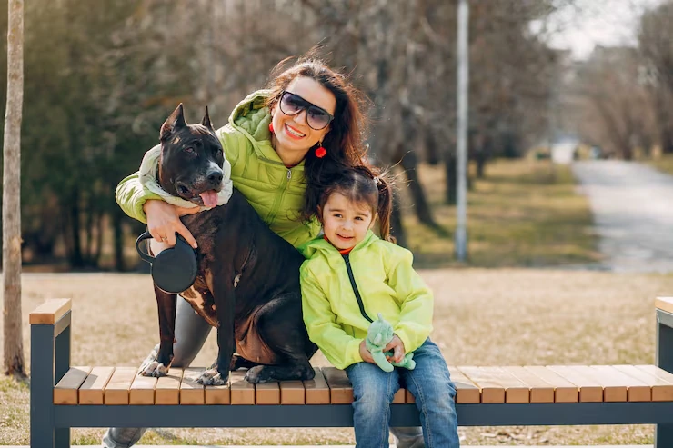 IATA Crate Selection and Setup Guidance