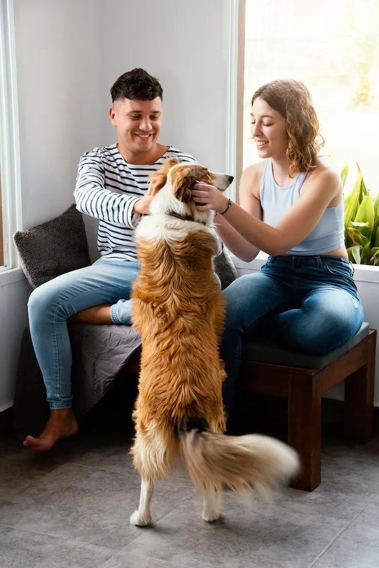 Import Paperwork and EU Entry Preparation