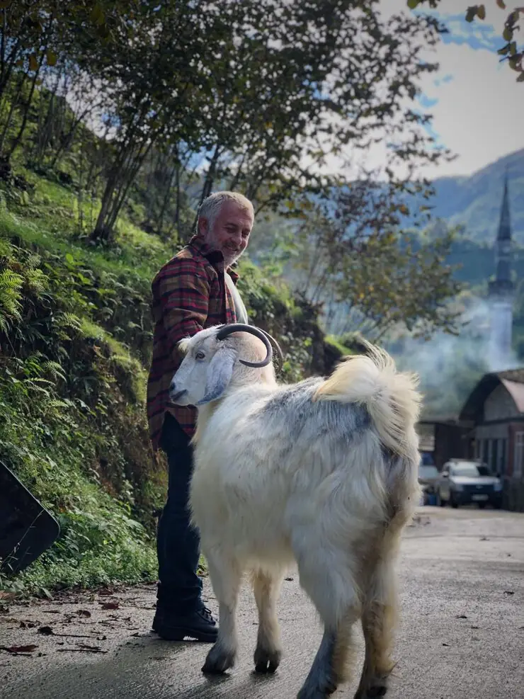 International Alpaca Transport Coordination